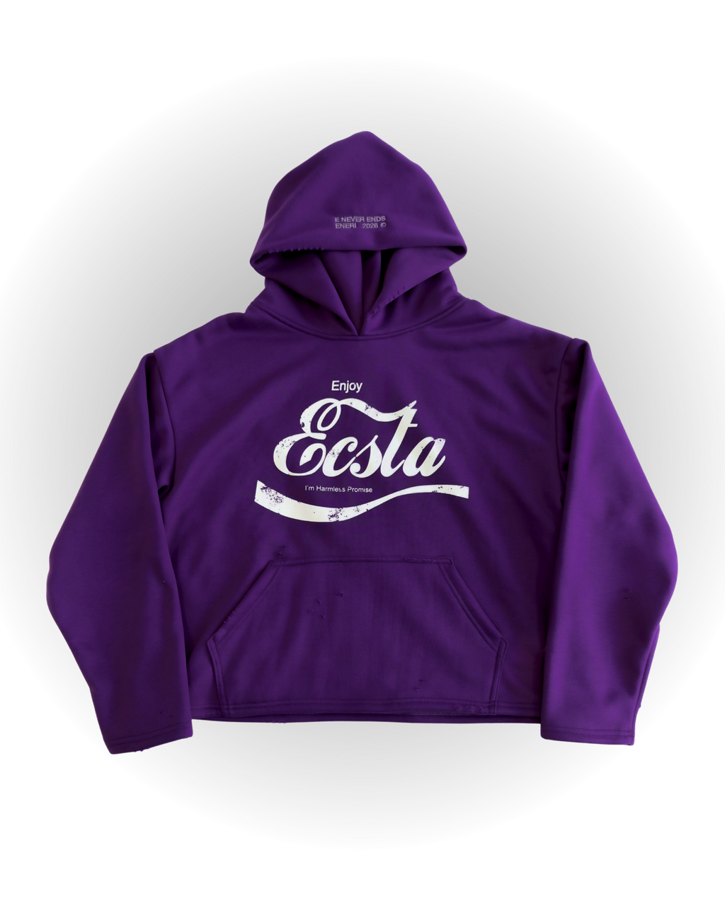 Distressed Ecsta Hoodie